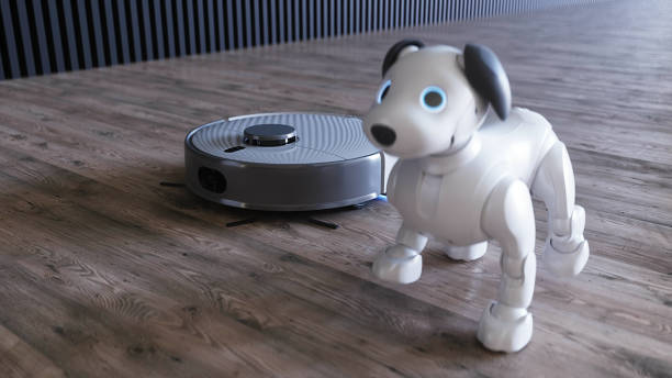 Robbie the robot vacuum and his big adventure