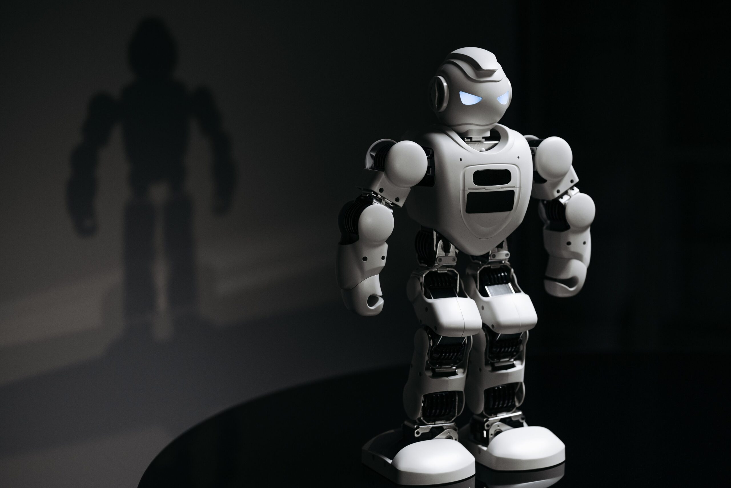 Ponas robotas